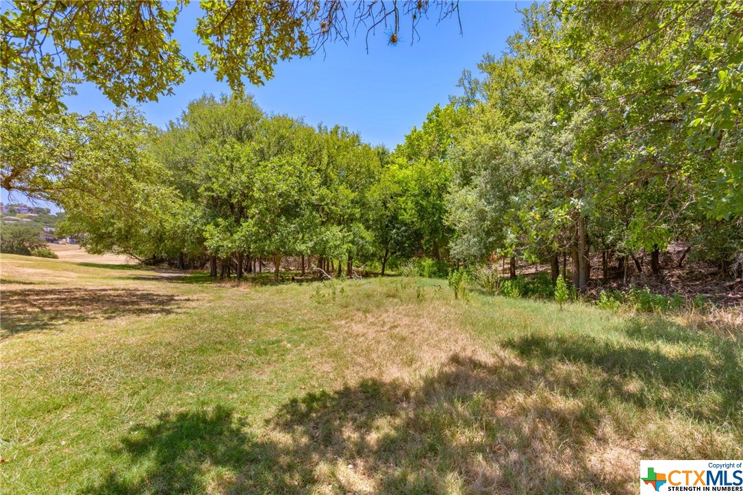 21465 Lakefront Drive, Lago Vista, TX 78645 — photo 1