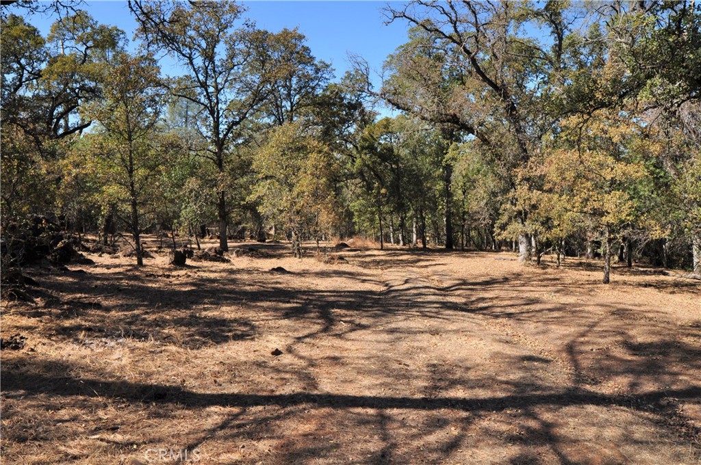 205 Cynthiann Lane, Oroville, CA 95966 — photo 1