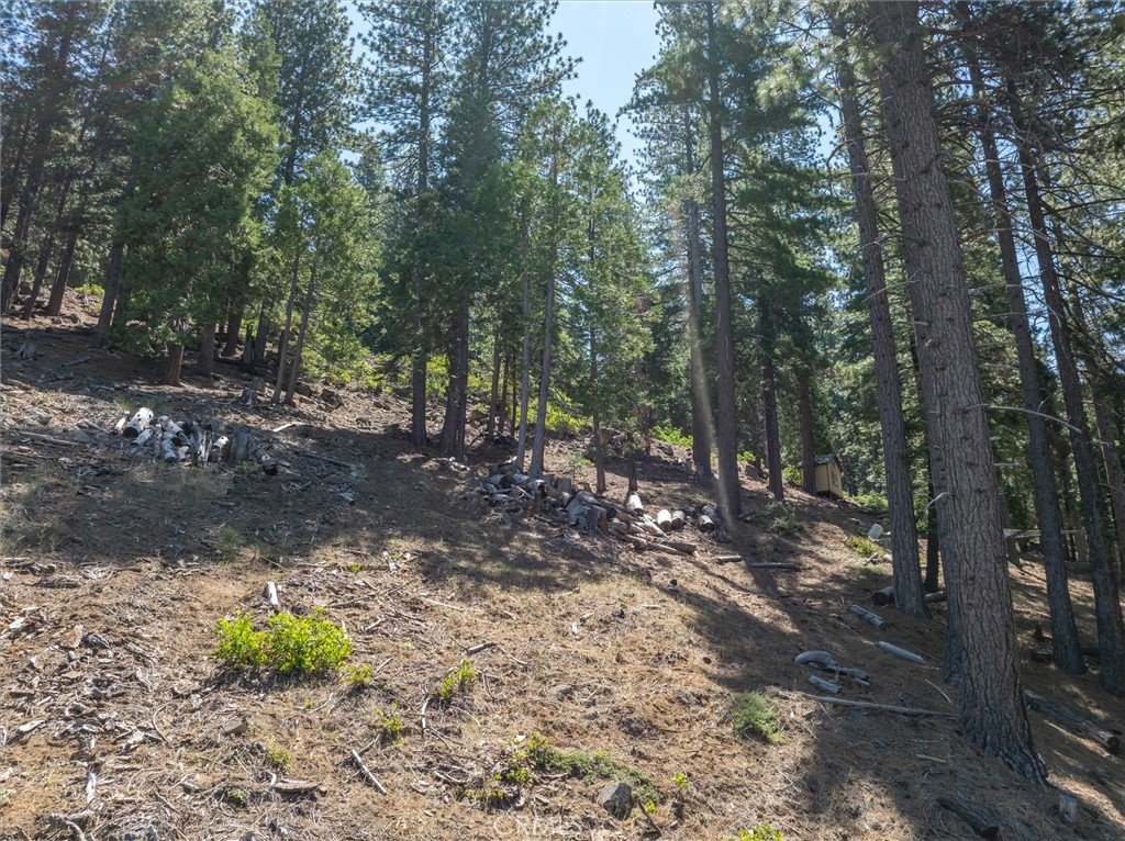 7343 Yosemite Park Way, Yosemite, CA 95389 — photo 1