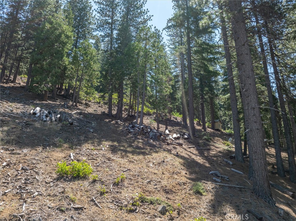 7343 Yosemite Park Way, Yosemite, CA 95389 — photo 1