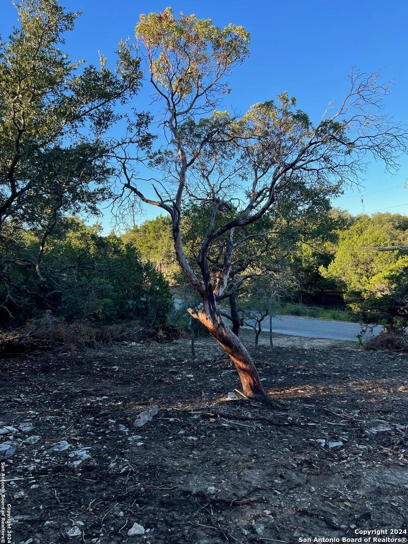 340 LEDGEVIEW DR, Canyon Lake, TX 78133 — photo 1