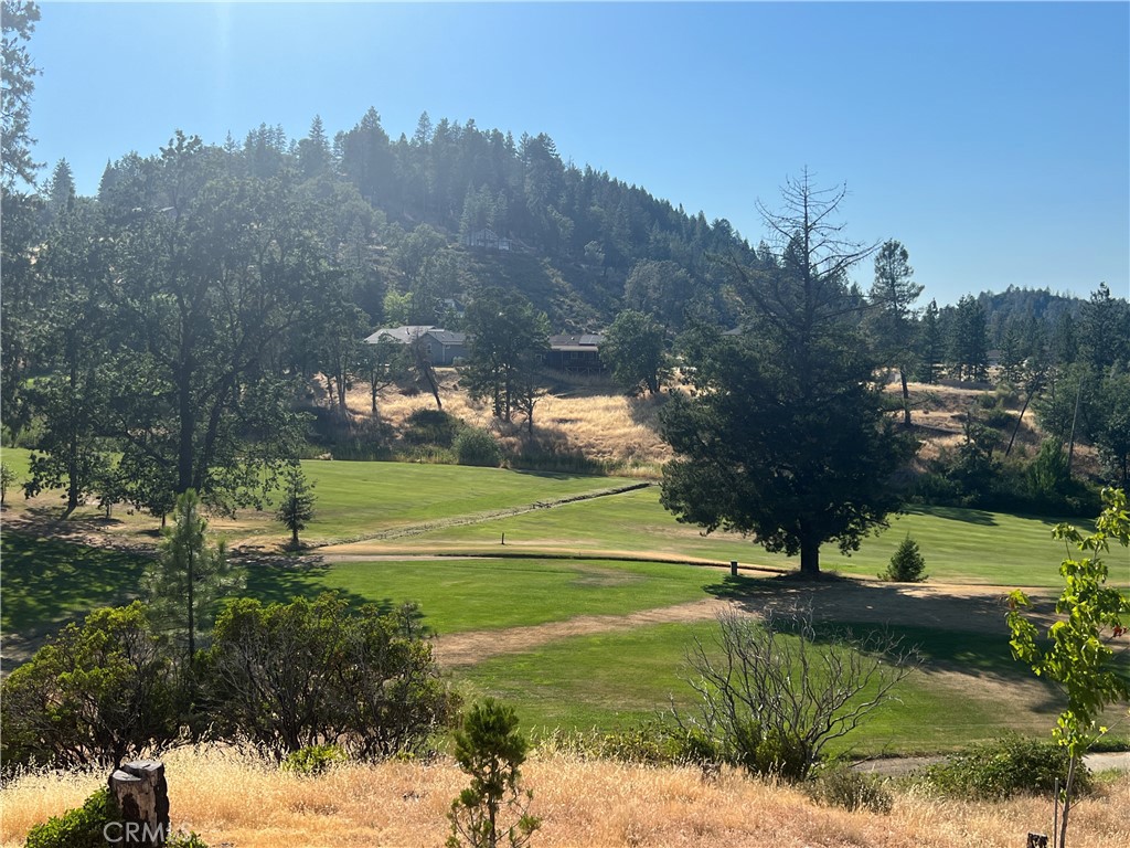 14461 Snead Drive, Cobb, CA 95426 — photo 1