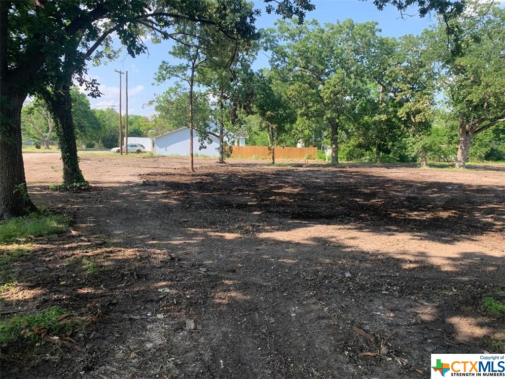 542 W Pietzsch, Bartlett, TX 76534 — photo 1