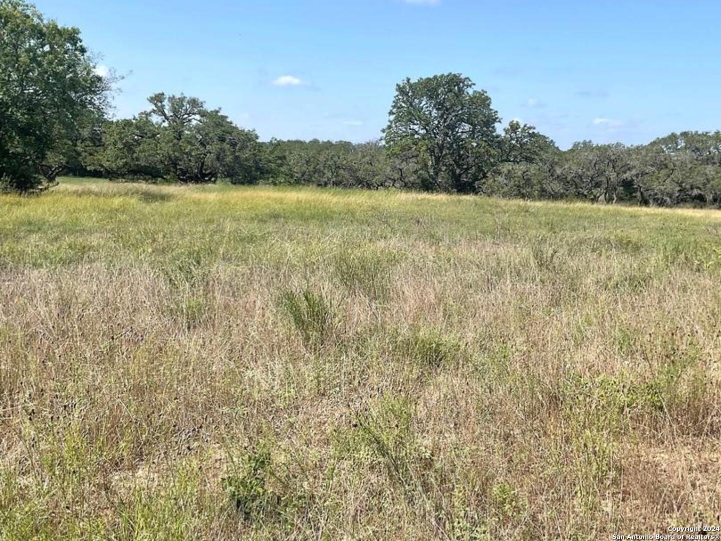 773 ANNABELLE AVE, Bulverde, TX 78163 — photo 1