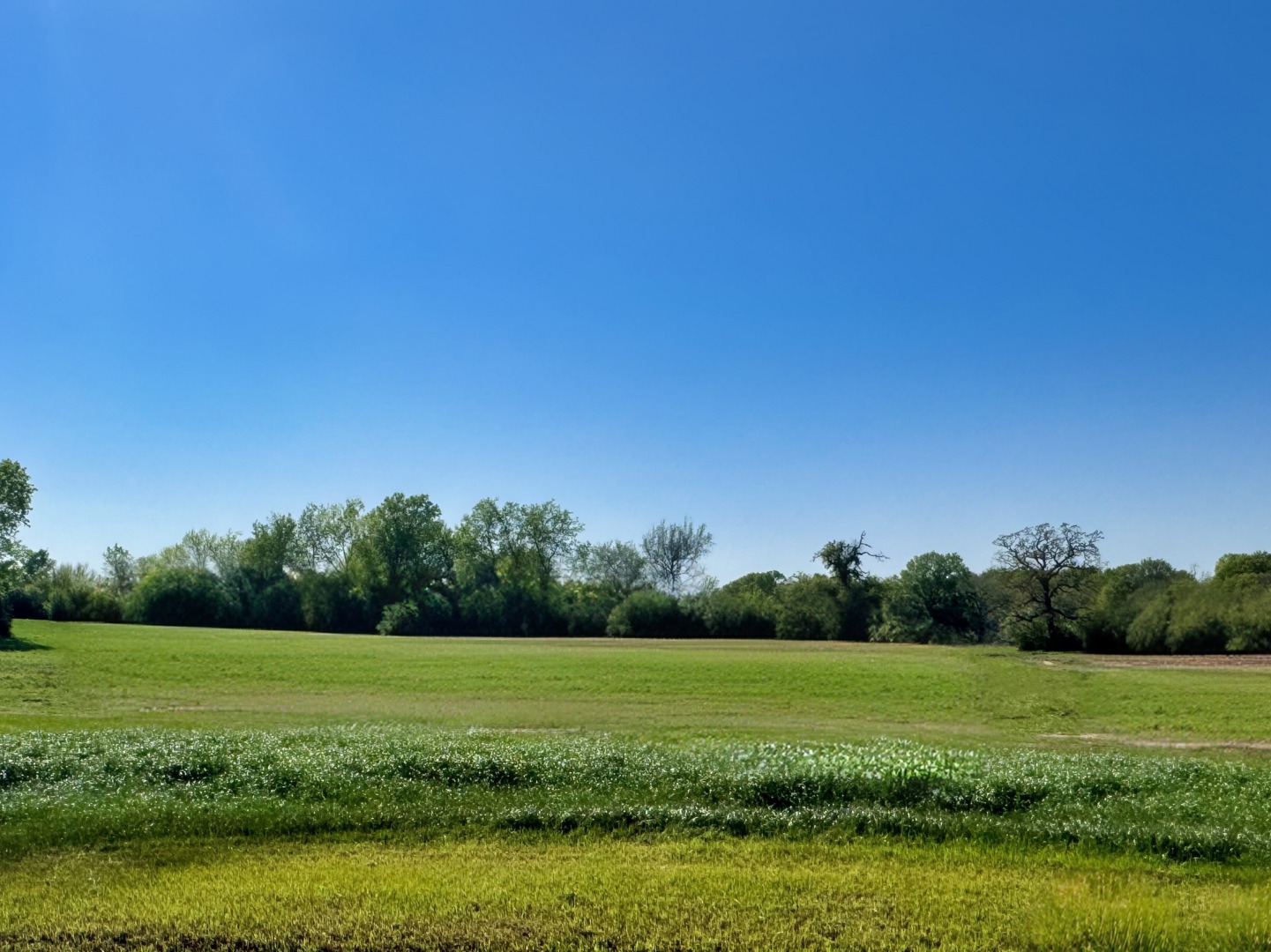 LOT 38 Panther Ridge Drive, Iola, TX 77861 — photo 1