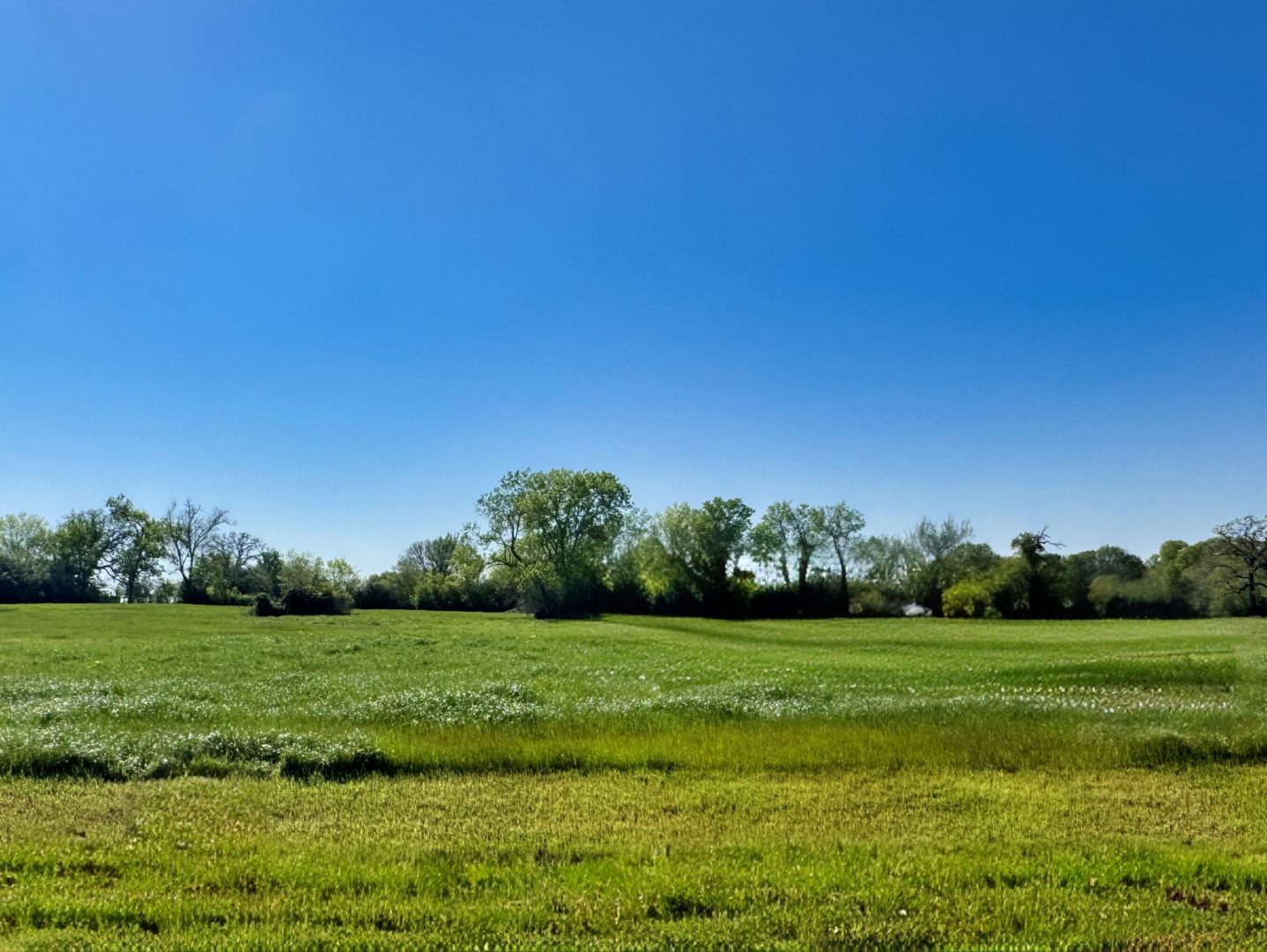 LOT 37 Panther Ridge Drive, Iola, TX 77861 — photo 1