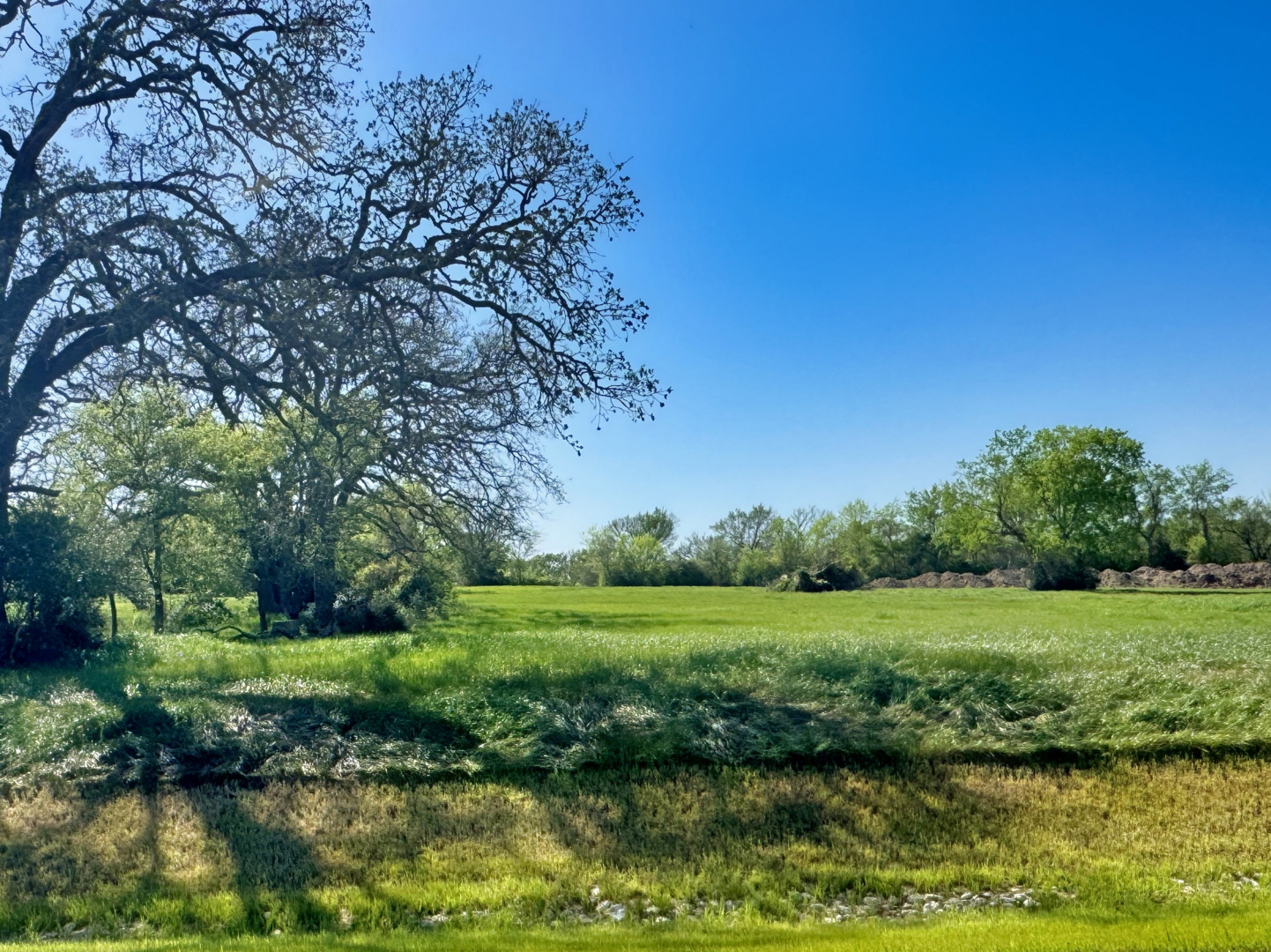 LOT 36 Panther Ridge Drive, Iola, TX 77861 — photo 1