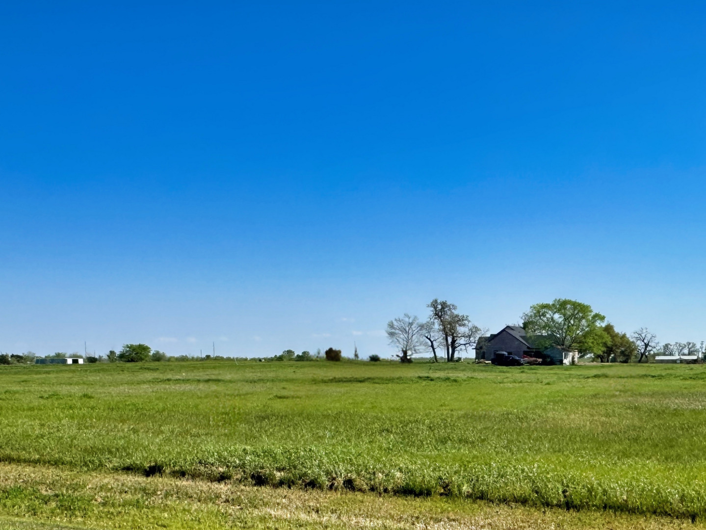 10005 Hidden Pond Drive, Iola, TX 77861 — photo 1