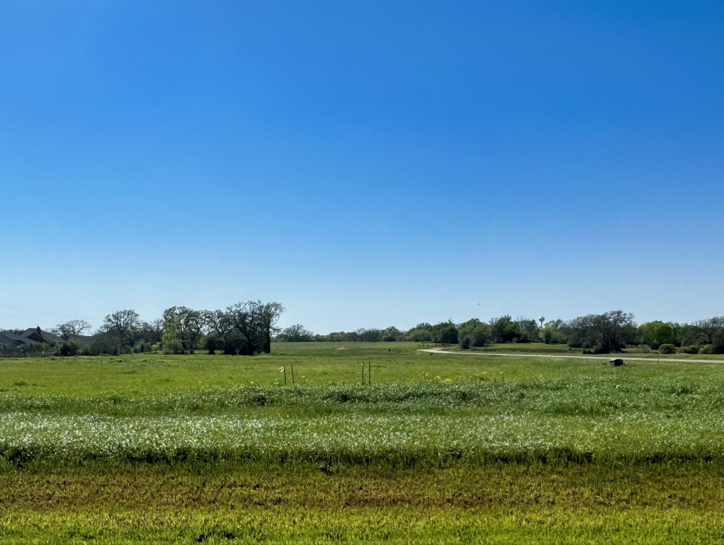 9971 Hidden Pond Drive, Iola, TX 77861 — photo 1