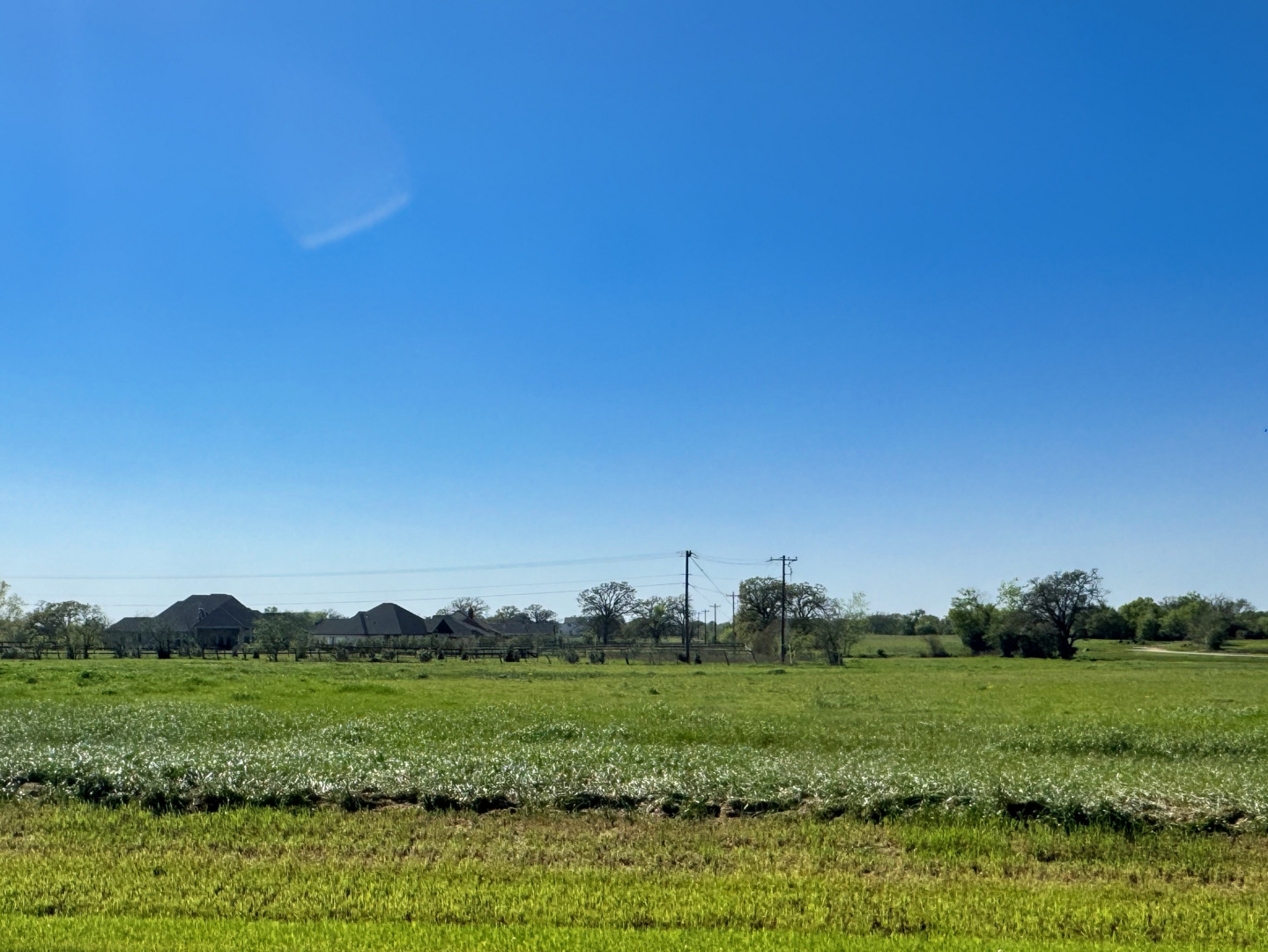 10069 Panther Creek Drive, Iola, TX 77861 — photo 1