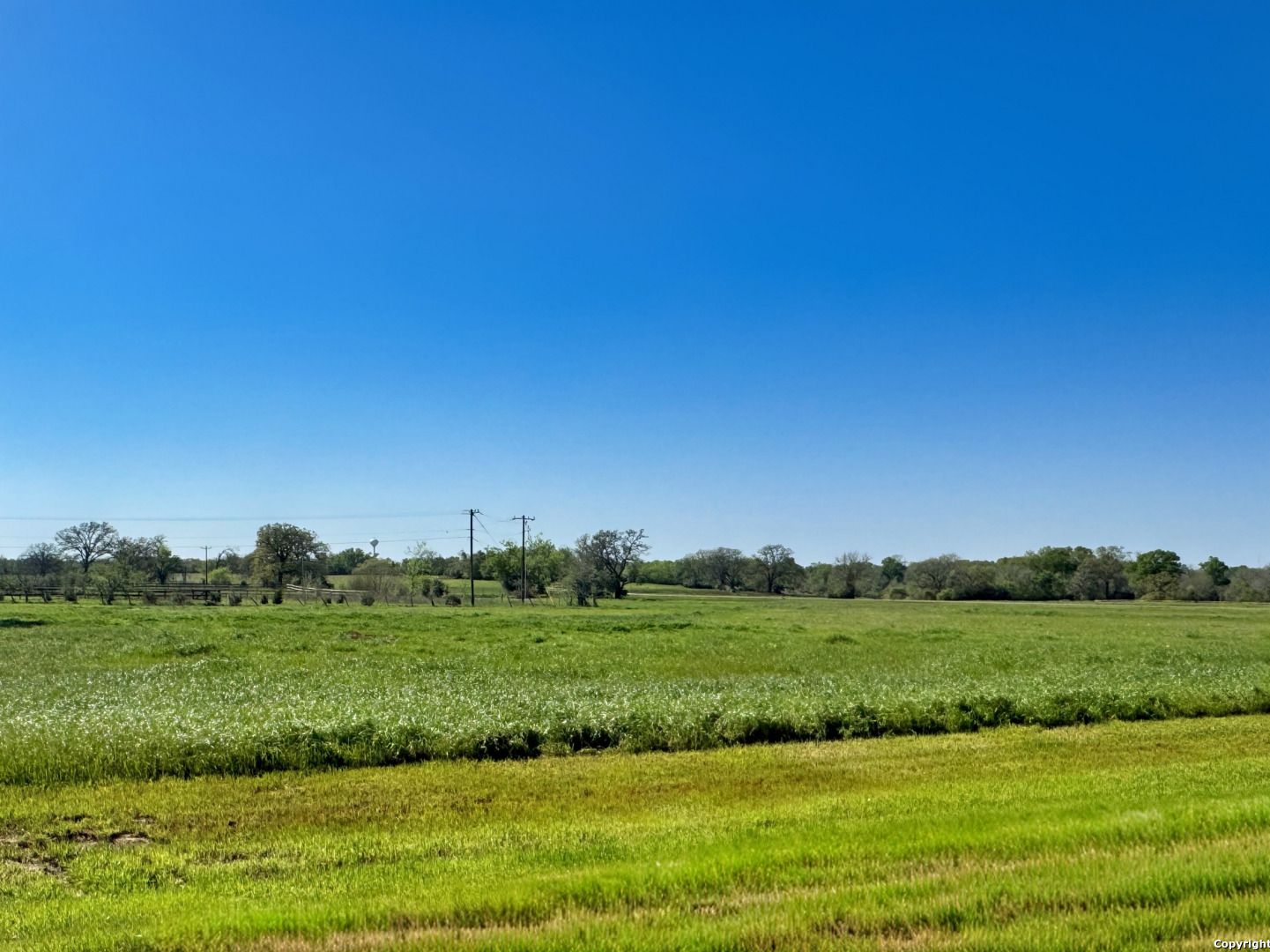 10045 Panther Creek Drive, Iola, TX 77861 — photo 1