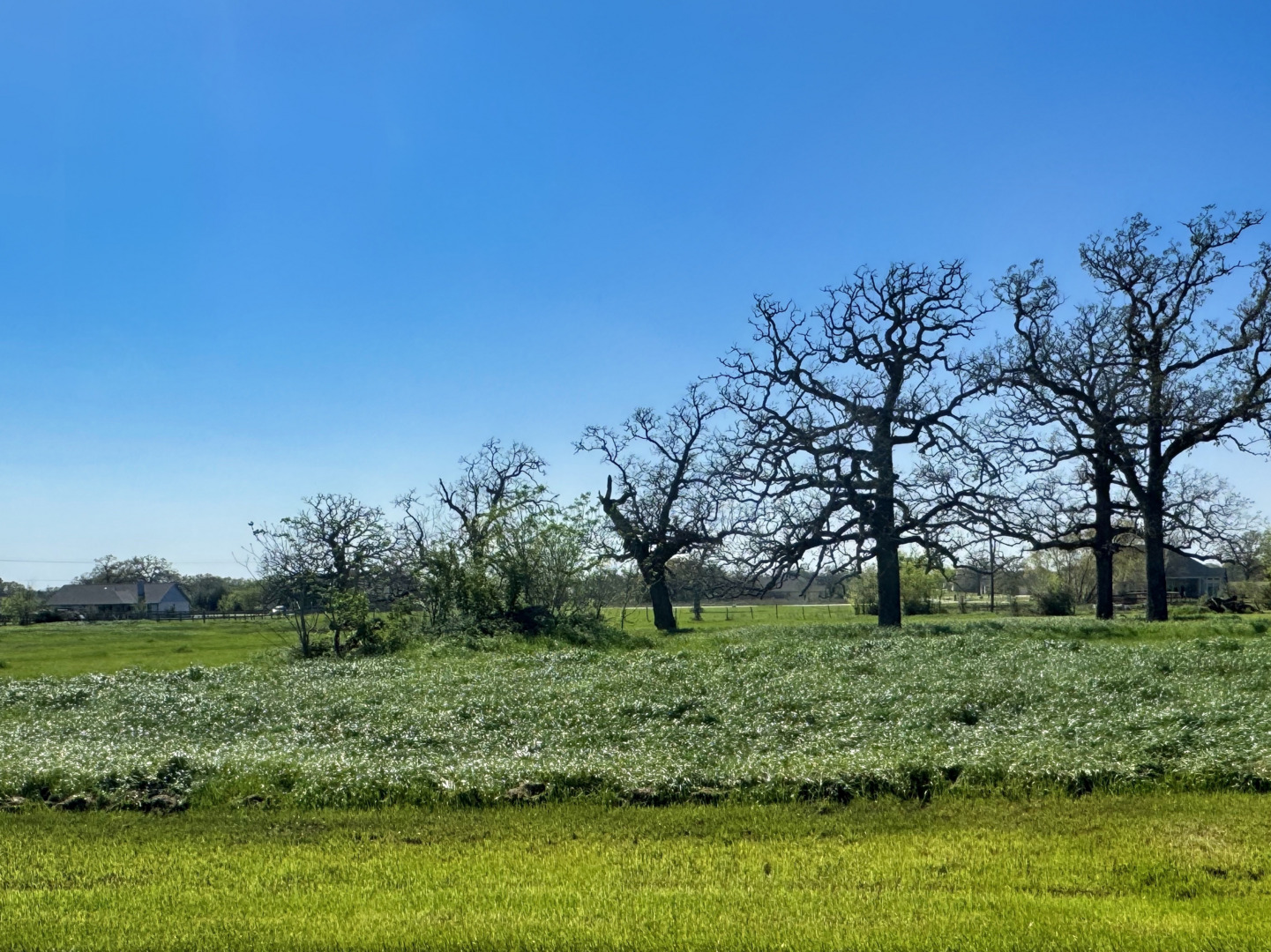 9993 Panther Creek Drive, Iola, TX 77861 — photo 1