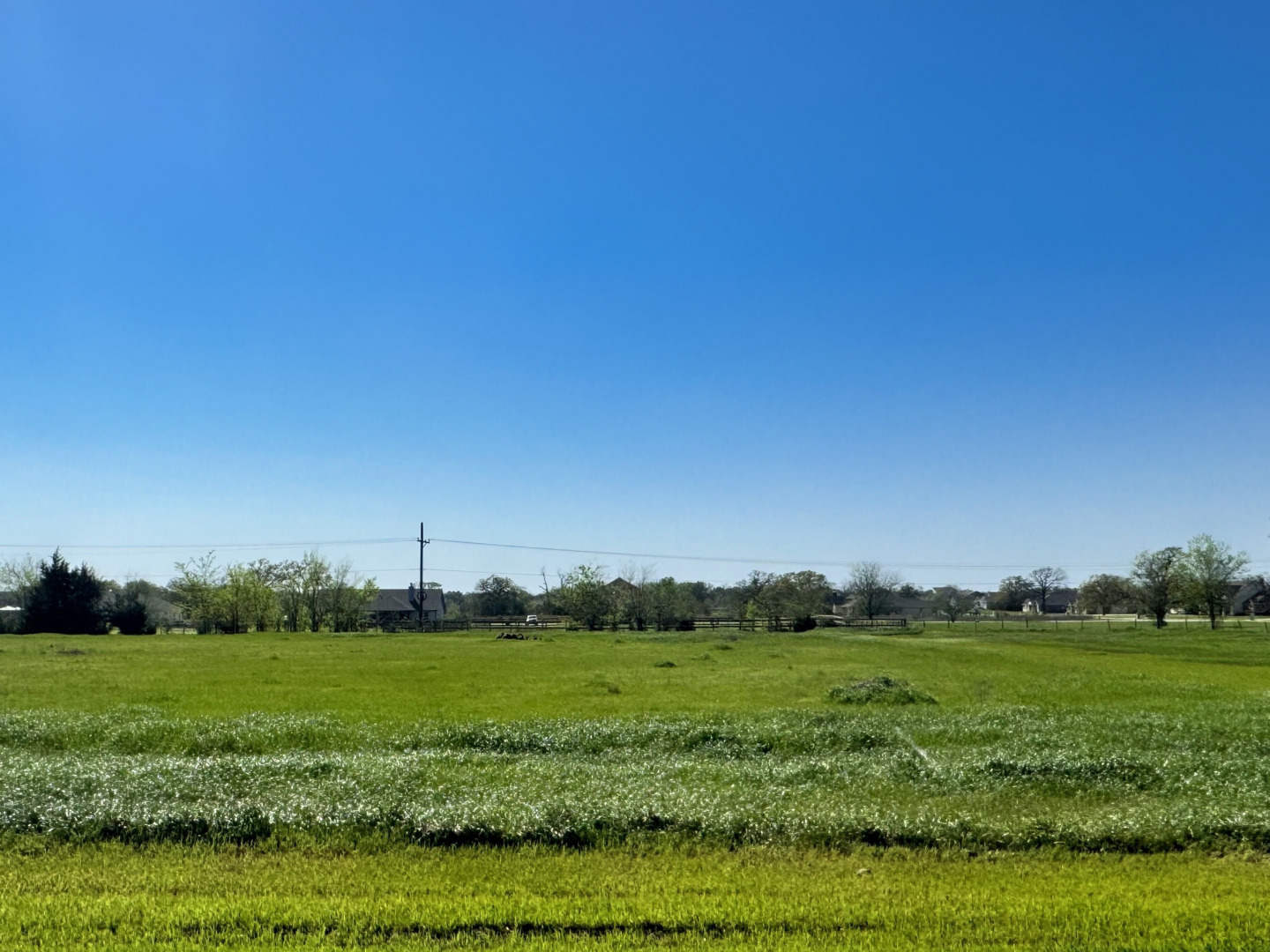 9943 Panther Creek Drive, Iola, TX 77861 — photo 1