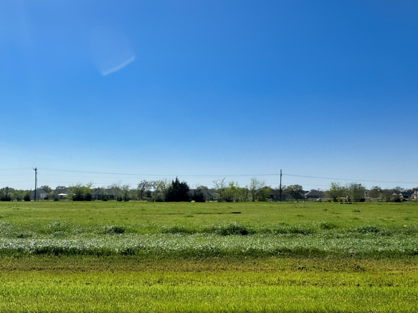 9917 Panther Creek Drive, Iola, TX 77861 — photo 1