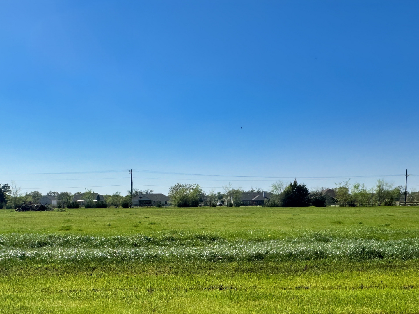 9891 Panther Creek Drive, Iola, TX 77861 — photo 1