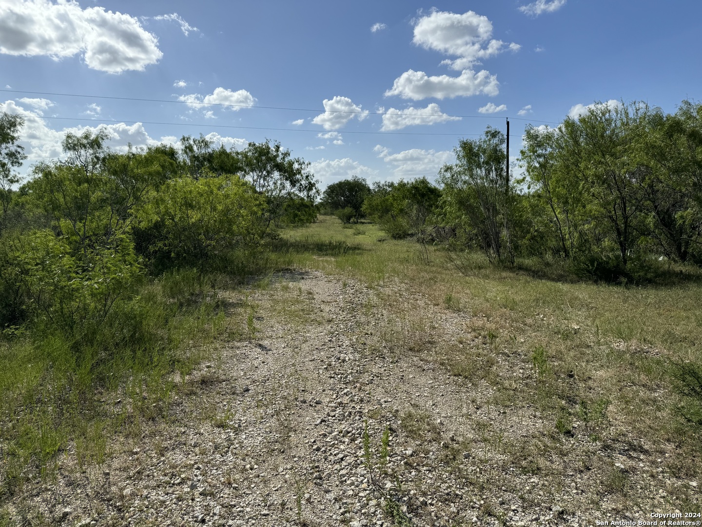 5153 JIM BRITE RD, Pleasanton, TX 78064 — photo 1
