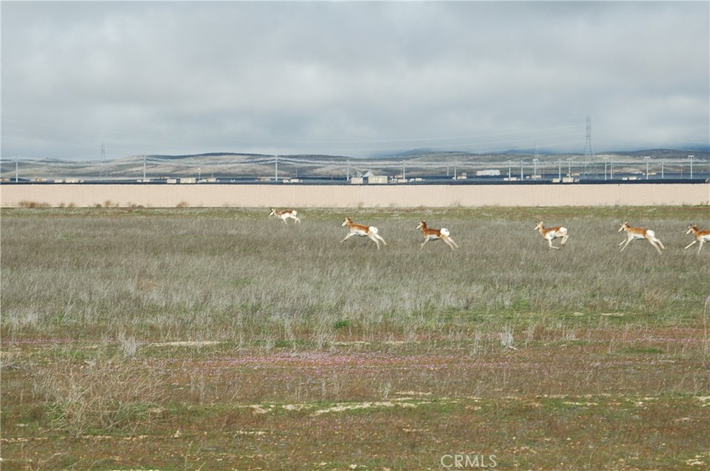 0 Arrow Bear Trail, California Valley, CA 93453 — photo 1