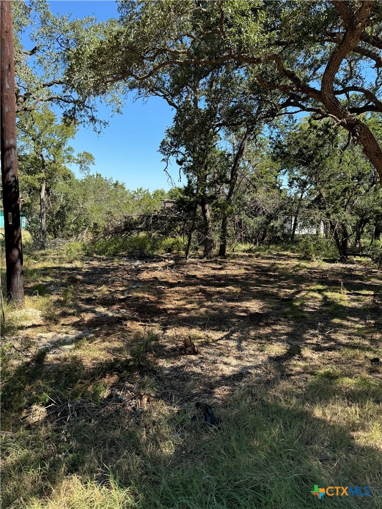 2869 Western Skies Drive, Spring Branch, TX 78070 — photo 1