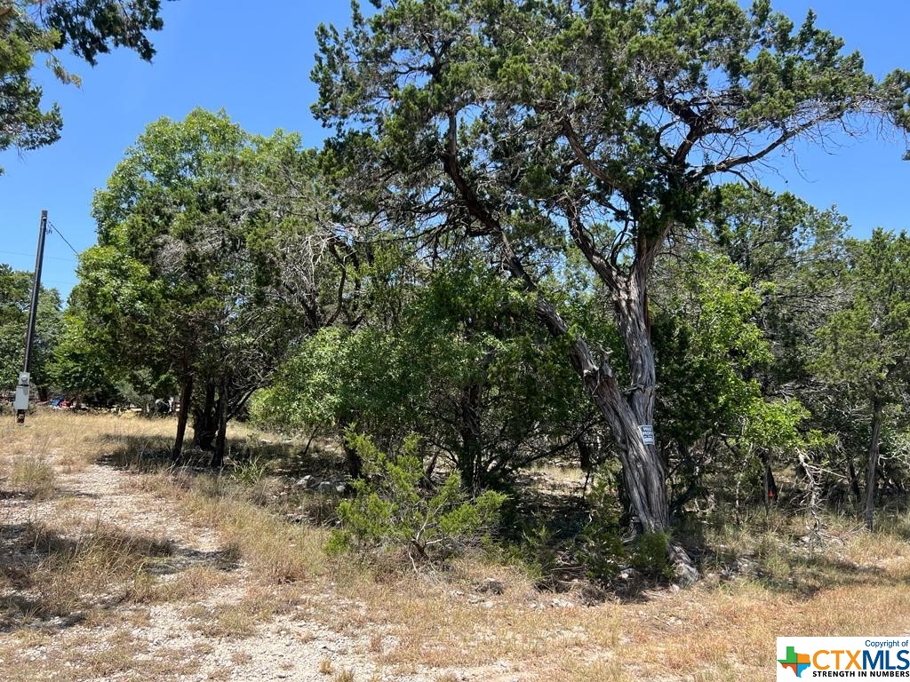 619 Cactus Flower, Canyon Lake, TX 78133 — photo 1