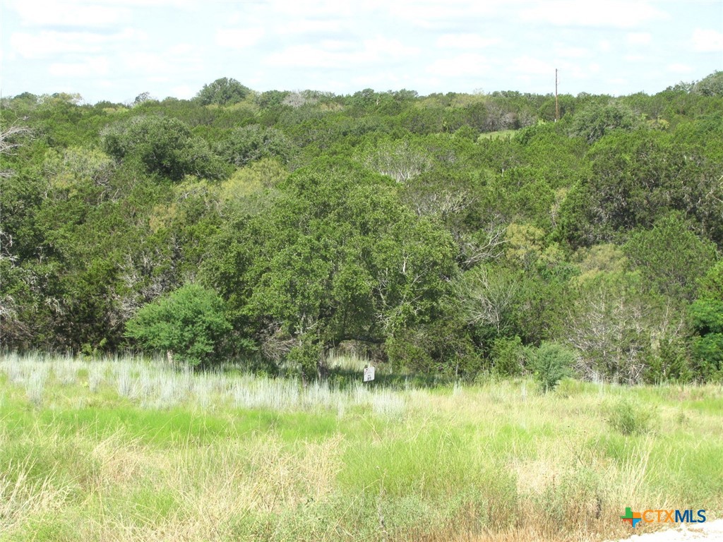 Lot 9 Ph 4 Pr 4212, Evant, TX 76525 — photo 1