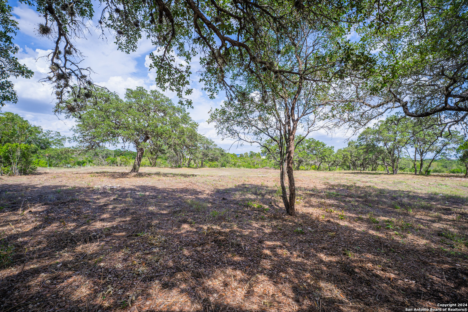 13402 LUCAS CIR, San Antonio, TX 78245 — photo 1
