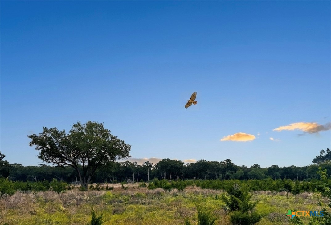 LOT 52 Clearwater Canyon Road, Bandera, TX 78003 — photo 1
