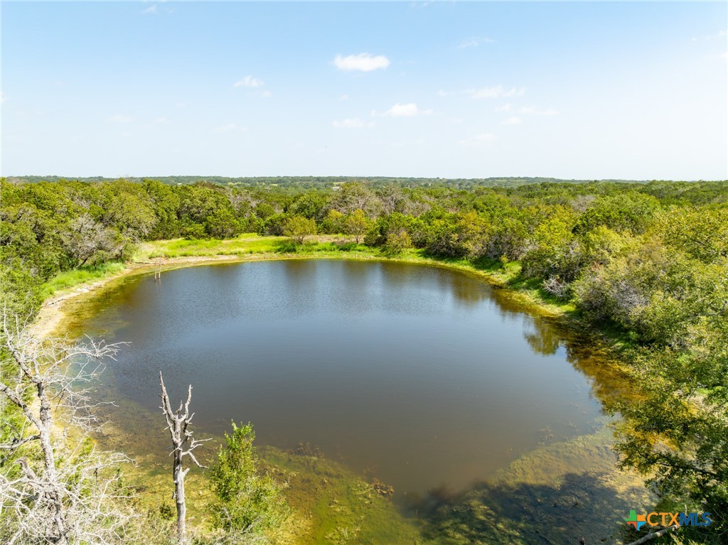 TBD PR 1002, Purmela, TX 76566 — photo 1