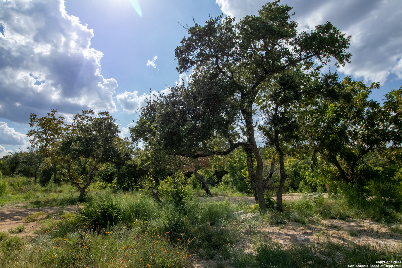 LOT 6 MESSINA CYN, San Antonio, TX 78255 — photo 1