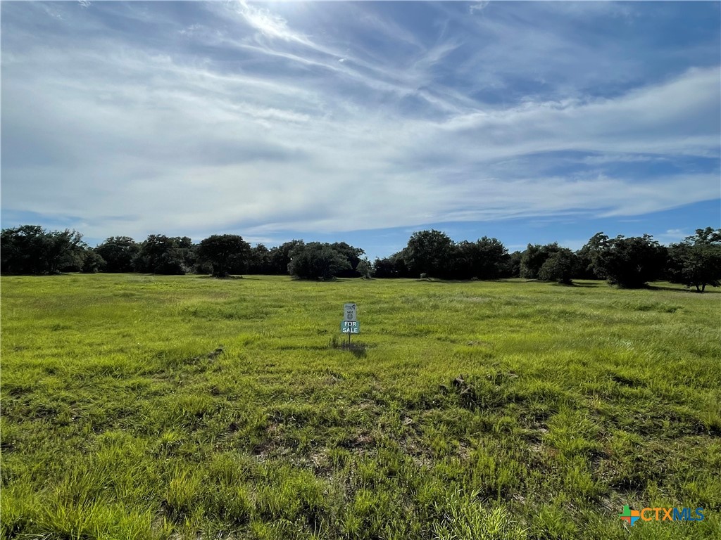 0 Mustang Valley Drive, Victoria, TX 77905 — photo 1