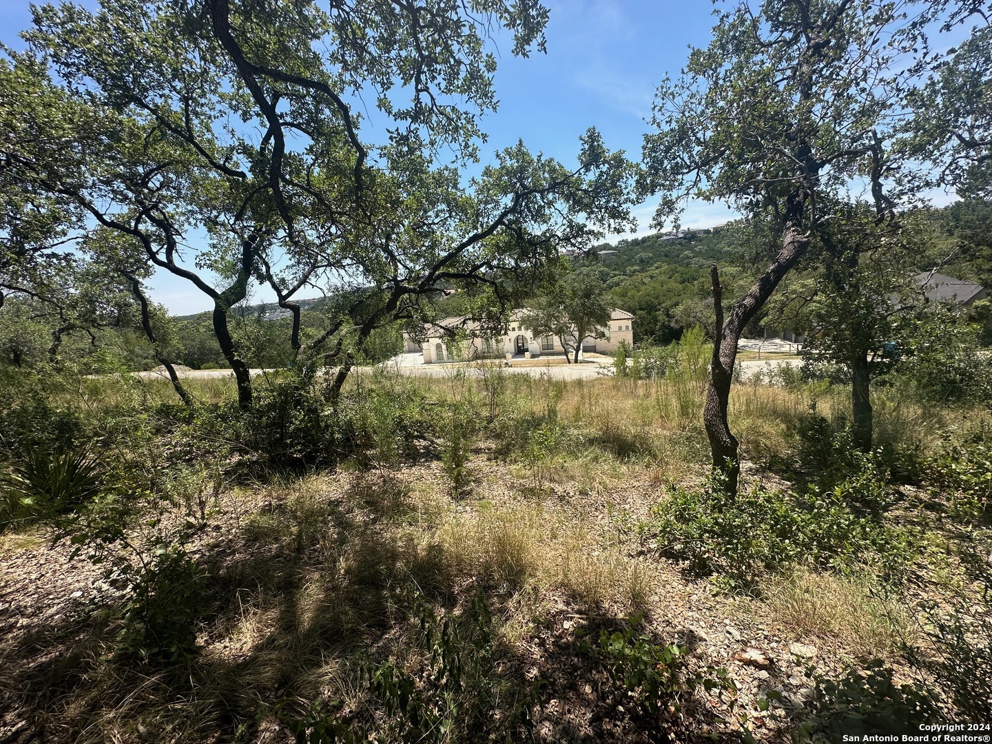 20318 BOBWHITE RUN, San Antonio, TX 78256 — photo 1