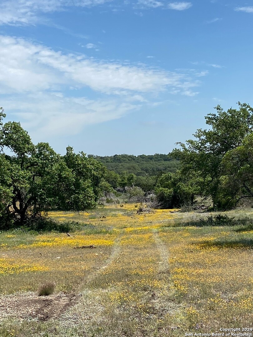 TBD TAURUS LN Taurus, Junction, TX 76849 — photo 1