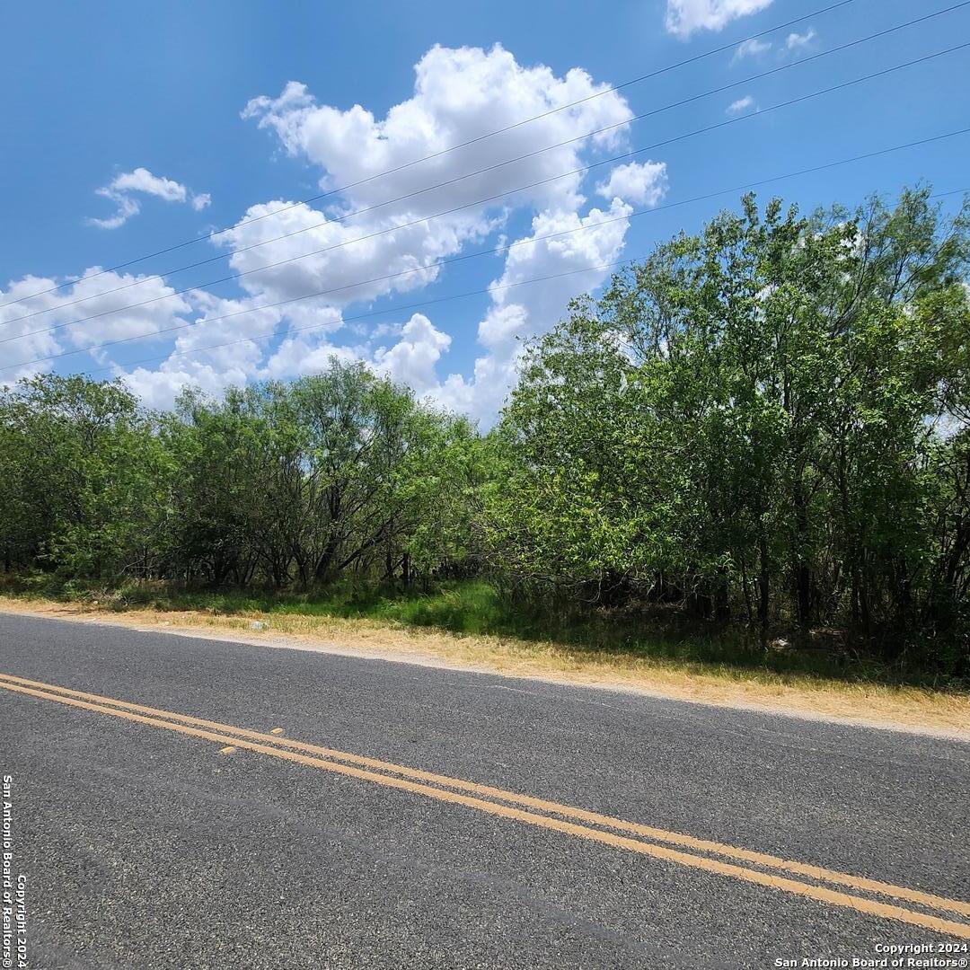 14096 GREENWOOD RD, Atascosa, TX 78002 — photo 1