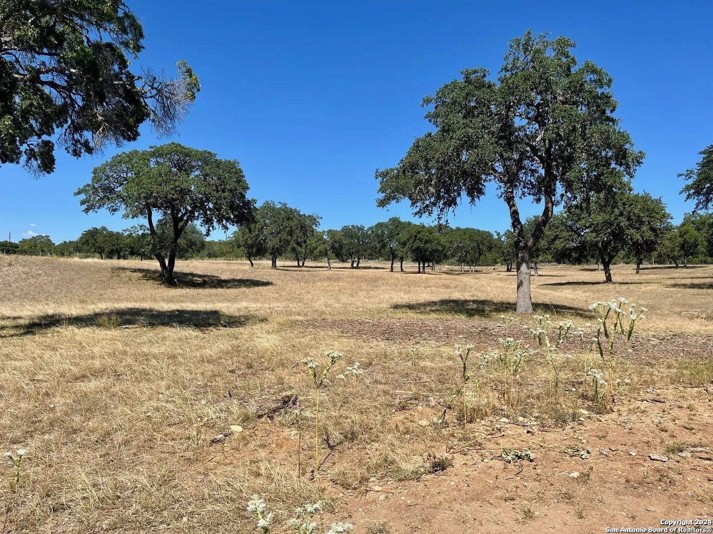LOT 4 Elk Mountain Ranch, Pipe Creek, TX 78063 — photo 1