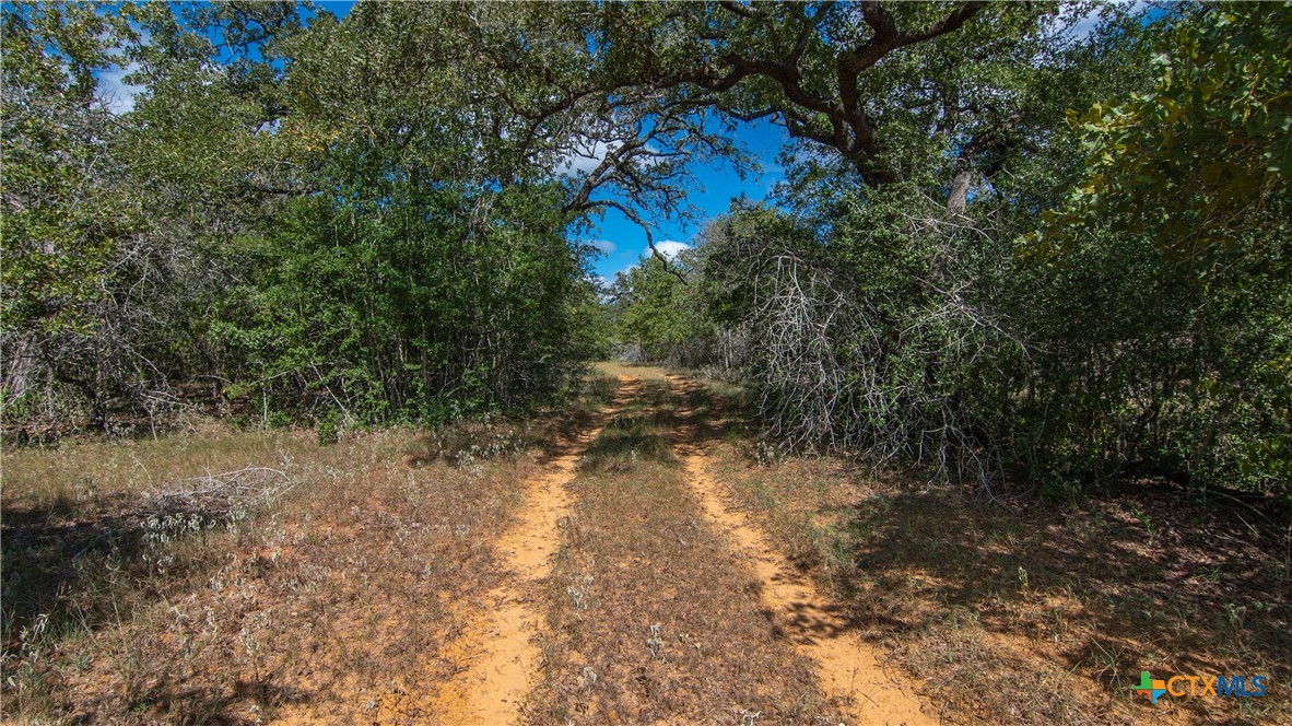 TBD County Road 434, Stockdale, TX 78160 — photo 1