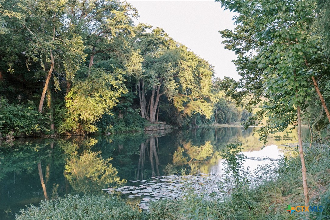 17B Rivers Edge at Gruene, New Braunfels, TX 78132 — photo 1
