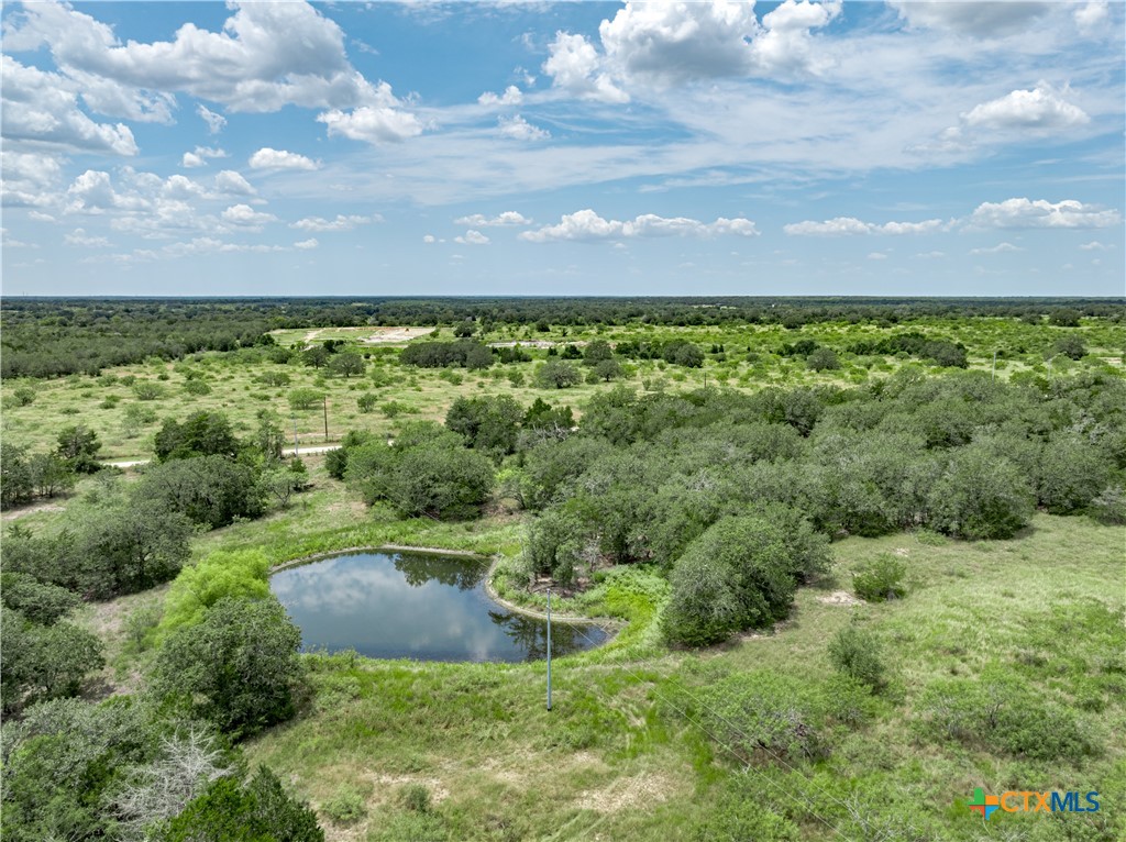 1345 Davis Road, Flatonia, TX 78949 — photo 1