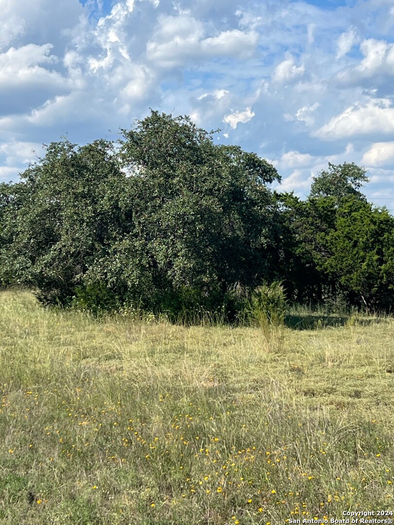 317 Bosque Ridge, Spring Branch, TX 78070 — photo 1