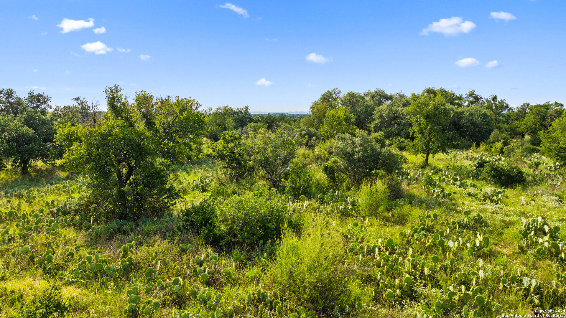 TBD W RR 962, Round Mountain, TX 78663 — photo 1