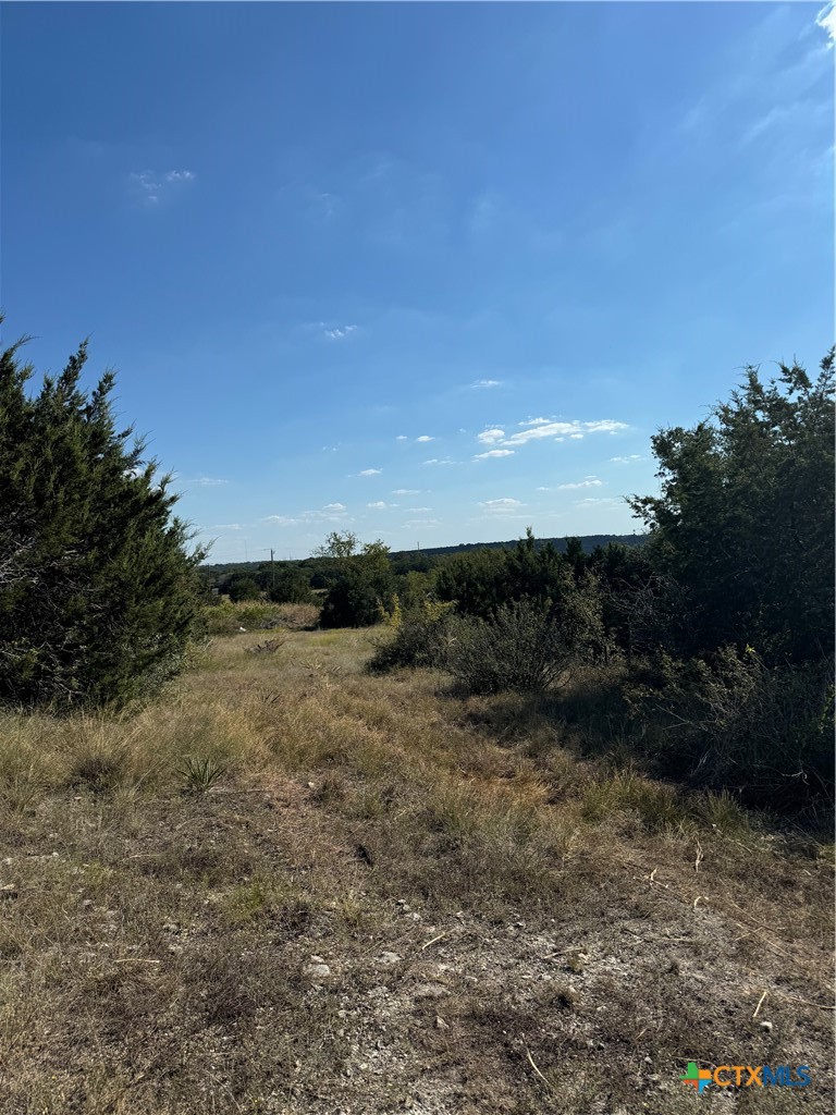 Lot 25A Bowles Ranch Road, Belton, TX 76513 — photo 1