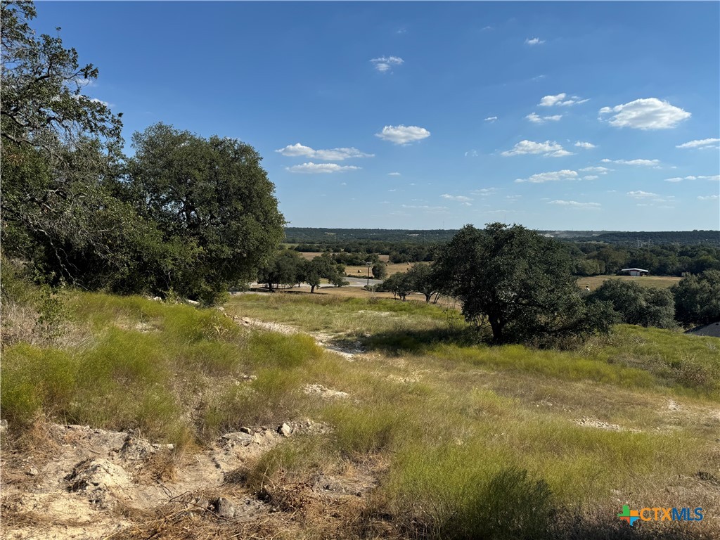 Lot 24 Bowles Ranch Road, Belton, TX 76513 — photo 1