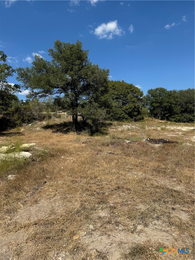 Lot 6 Bowles Ranch Road, Belton, TX 76513 — photo 1