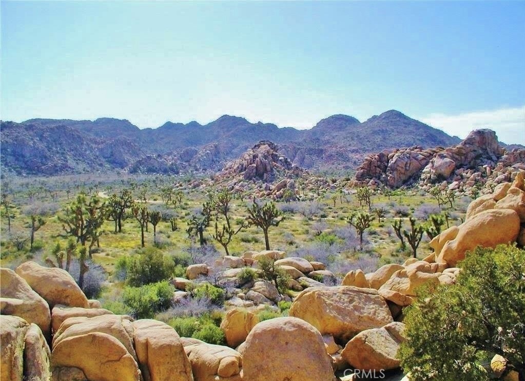 61936 El Reposo Circle, Joshua Tree, CA 92252 — photo 1