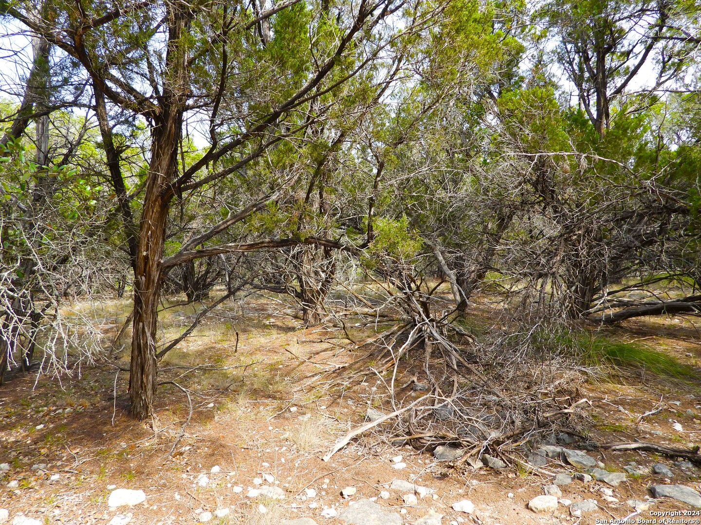 TBD SIMMONS ROAD, Lakehills, TX 78063 — photo 1