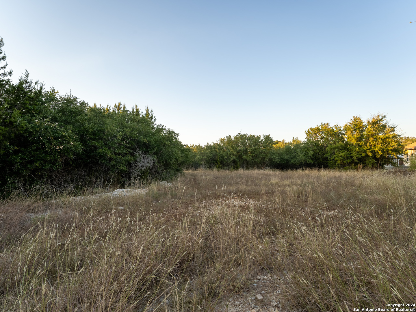 113 S John Bird, Blanco, TX 78606 — photo 1