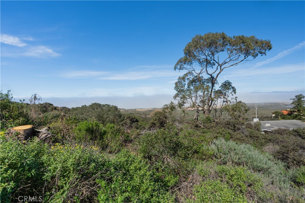 0 Pecho Valley Rd, Los Osos, CA 93402 — photo 1