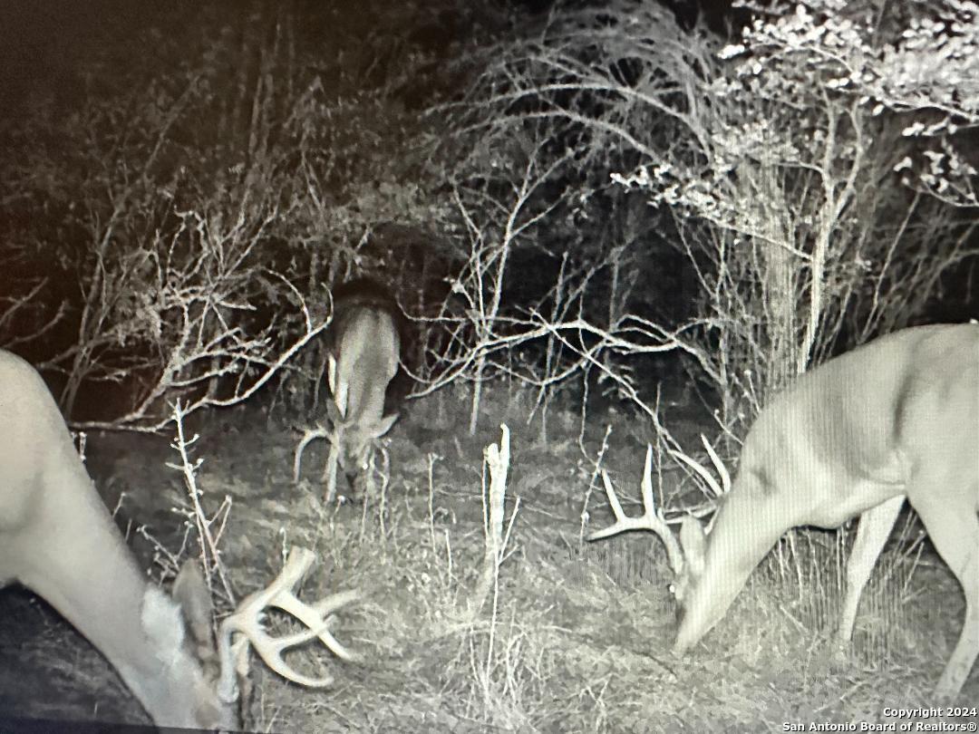 13004 FM 3353, Kingsbury, TX 78638 — photo 1