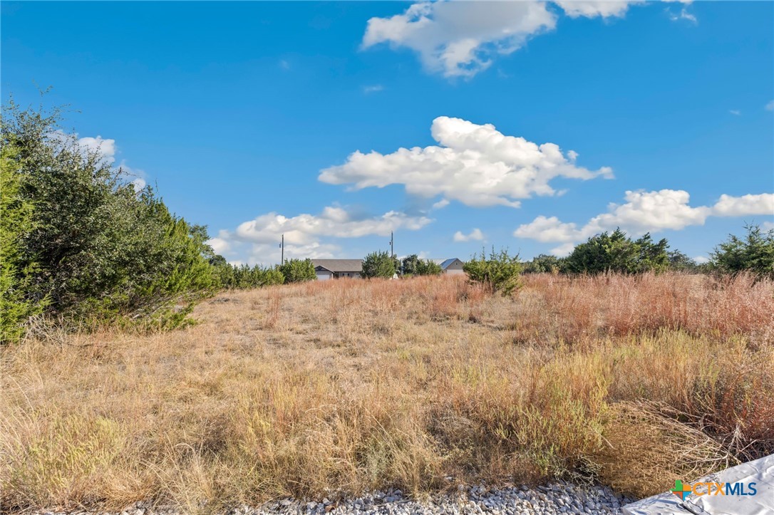 115 Jacob Dearing, Blanco, TX 78606 — photo 1